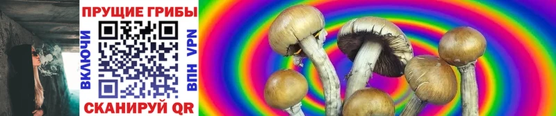 Галлюциногенные грибы GOLDEN TEACHER Каневская