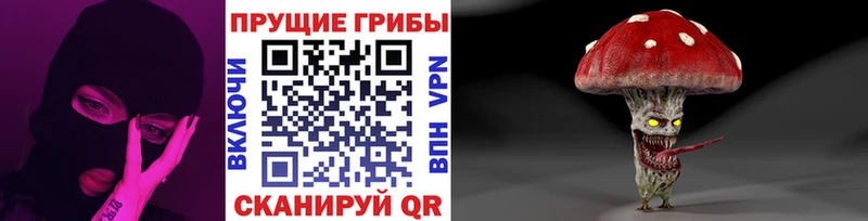 Псилоцибиновые грибы прущие грибы  Каневская 